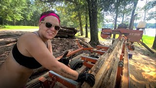 Follow a Tree from Standing to Milled Lumber