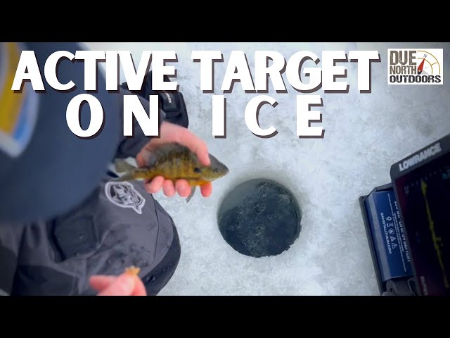 Lowrance Active Target on Ice - YouTube
