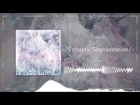 Kyutatsuki Synaptic Segmentation