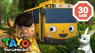 Lani And Animals' Secret Forest | Tayo S6 English Episodes | Tayo The Little Bus