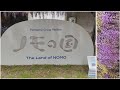 パナソニック創業の大阪・福島区に移った関西万博「ノモの国」の看板を訪れてみた。野田藤祭りを今年も回ってみたが・・・