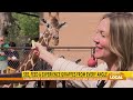 New Giraffe Center - Loving Living Local