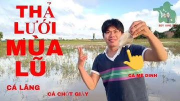 THẢ LƯỚI CÁ LĂNG,CÁ CHỐT GIẤY ĐẦU MÙA LŨ