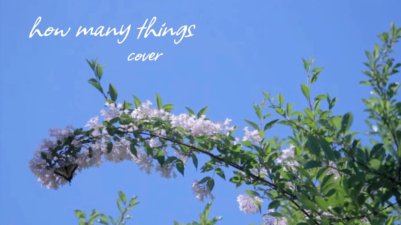 how many things - Sabrina Carpenter cover - YouTube