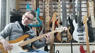 メンテ済 AriaProII PB-600D NAT PRECISE BASS Aria Pro II Vintage Fretless Bass SB600 1980 with custom hard case
