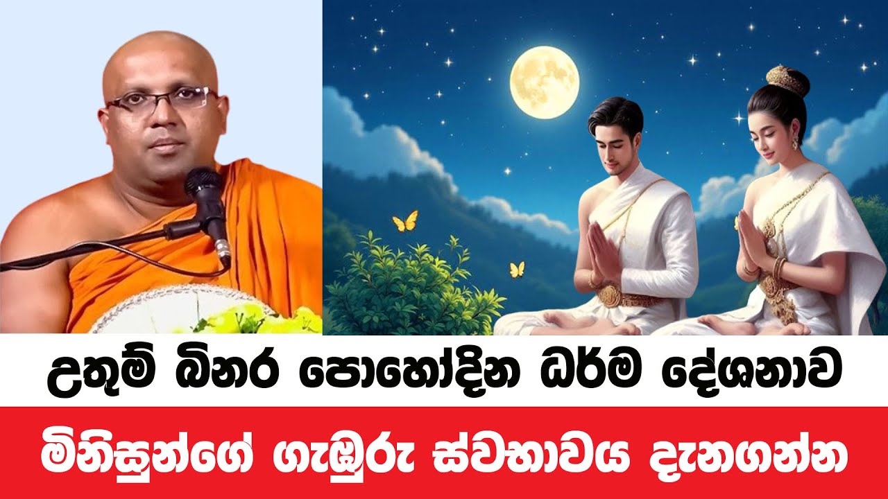 උතුම් බිනර පොහෝදින ධර්ම දේශනාව | Kelaniye Sasanawansa Thero | Dharmadeshana 141