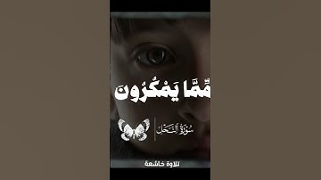 اكتب شئ تؤجر عليه ♥♥🦩|اسمع بقلبك هذا الجمال ❤|سوره النحل #كرومات_قرآن
