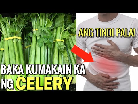 Video: Paano Magprito ng Mga Pakpak ng Manok: 13 Mga Hakbang (na may Mga Larawan)