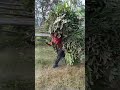 Nepali pahari jana jbon#Parthavai-পার্থভাই