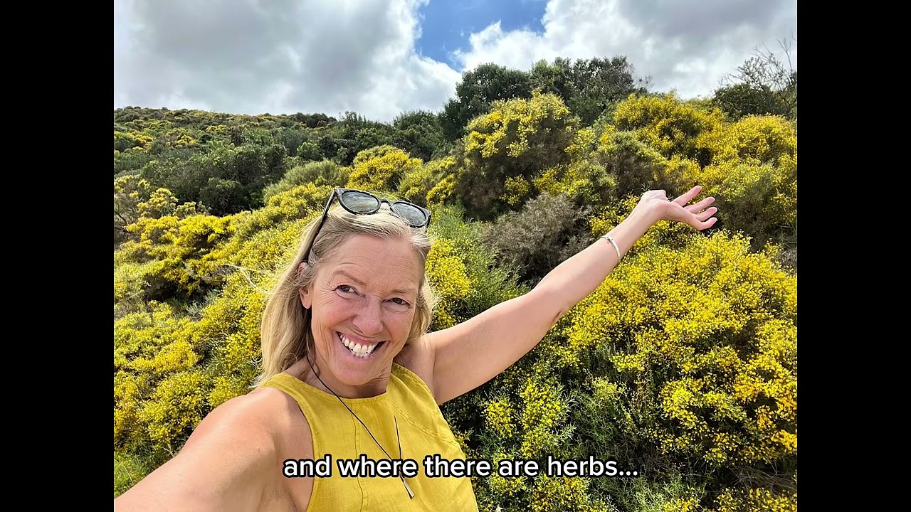 Seed to Soul | Greece 🇬🇷 | Snails, Herbs, Beekeepers & Tradition