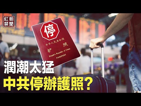 中国疑变朝鲜 传多地停办护照 国门正在关上？【红朝禁闻】