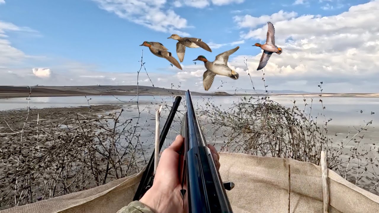 ÇAMURCUN ÖRDEK AVI SABAH BEKİ’İNDE DOUBLE VURUŞ EŞSİZ GÖRÜNTÜLER duck hunting охота на уток