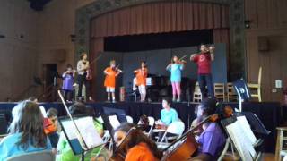 Crowden Summer Strings beginning violin