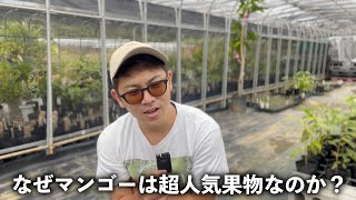 Mango Impressions - YouTube