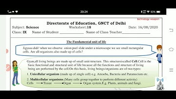 class 9 science worksheet no 18 date 16/8/21