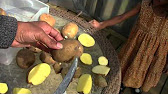 How To Prepare Potatoes For Planting - Chitting Tutorial - YouTube