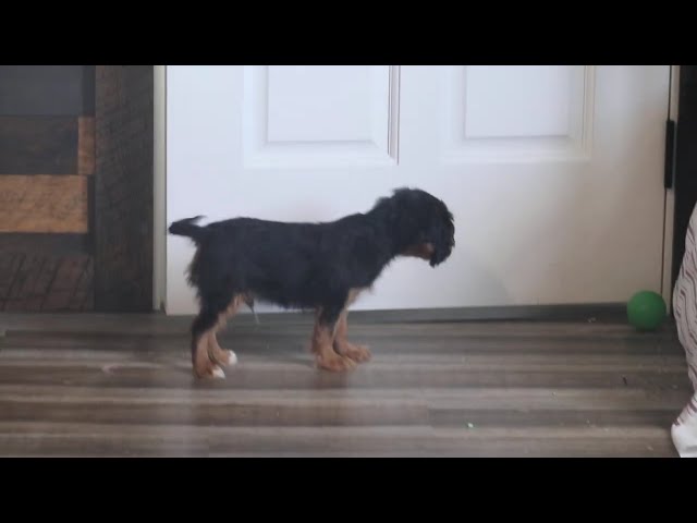 Zane video thumbnail