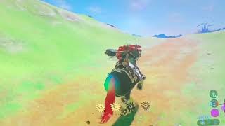 Operation: White horse BOTW