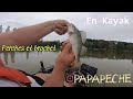 Perches et brochet en kayak #fypyoutube #foryou #kayakfishing #pecheur #fishing #perch #perches 👍🐟💪