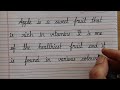 Few lines on apple  cursive handwriting  calligraphy  for beginners  four line note  english84
