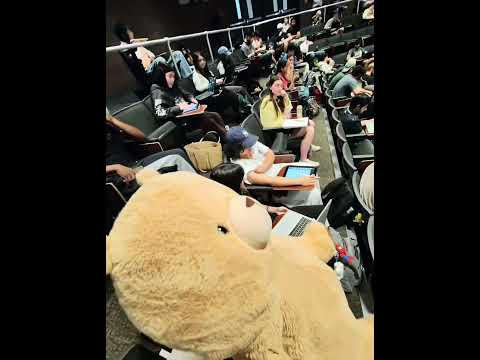 Bringing Teddy Tim back to class #prankster #funny #helpmemakethismakesense #socialanxiety