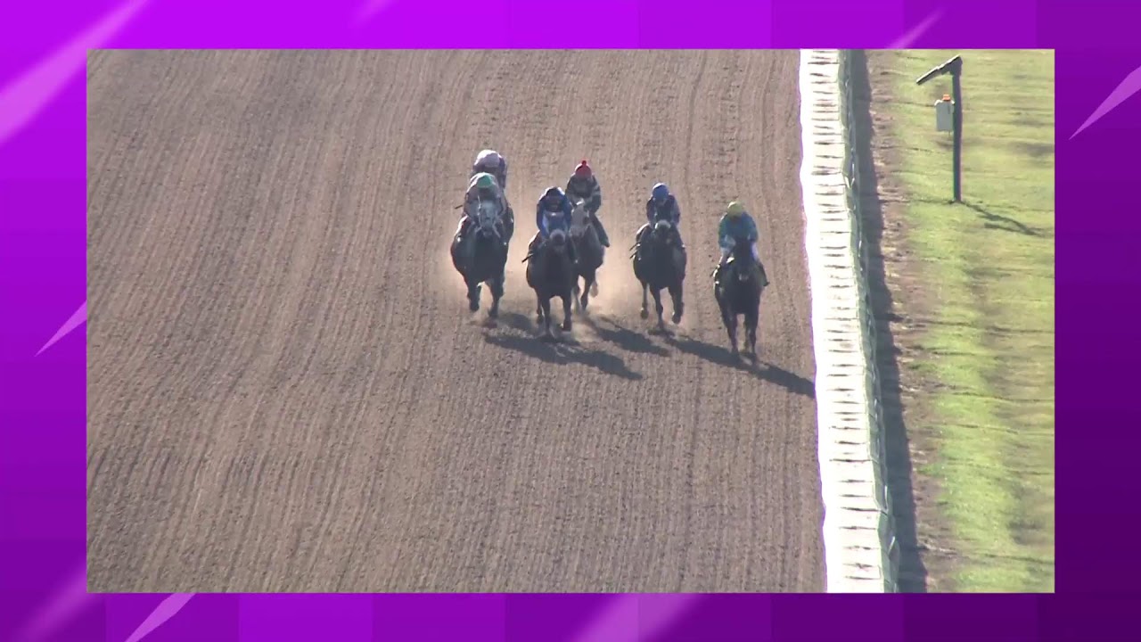 10 4 2023 finger lakes racetrack up to 10 second delay youtube