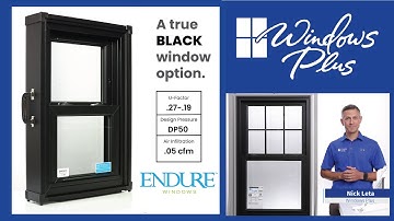 ProVia Endure® | Product Spotlight | Windows Plus Cincinnati