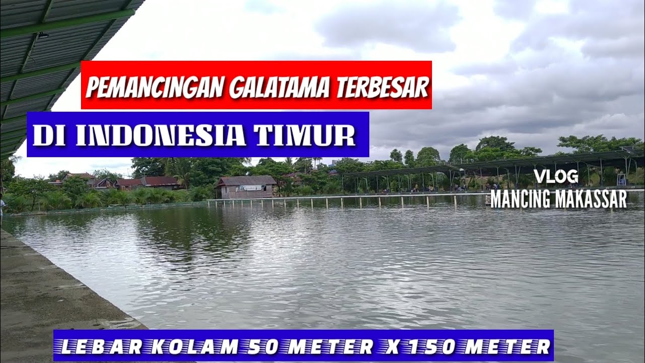 Di Makassar Penitipan Kucing Tempat Di Makassar Penitipan Kucing Tempat