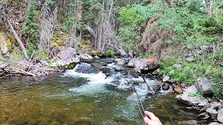 The most IMPORTANT SKILL in fly fishing - Knowing when to LEAVE! p38