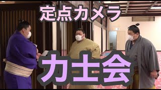 【人間模様】大相撲の力士会で関取を入り待ちしてみた【大相撲定点観測】