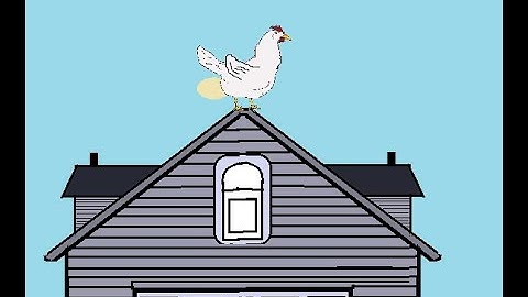 No One Gets the Rooster Laying an Egg Puzzle Right Including You.