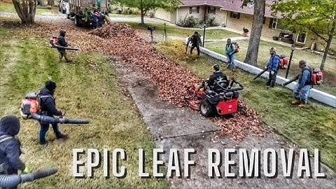 LEAF clean up made EASY. Total CHAOS with the ENTIRE crew. Mower used as LEAF DOZER for the WIN.