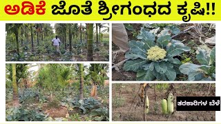 ಅಡಿಕೆ ಜೊತೆ ಶ್ರೀಗಂಧದ ಕೃಷಿ ಮತ್ತು ತರಕಾರಿಗಳ ಬೆಳೆ-Arecanut with Sandalwood farming