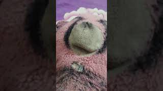 Heyrysub Er agrenn bearyio