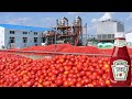 How Tomato Ketchup Is Made | Tomato Harvesting And Processing to Ketchup | Food Factory