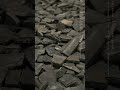 森美術館「六本木クロッシング2025展」展示風景動画#9:シュシ・スライマン|Installation Video#9: Shooshie Sulaiman
