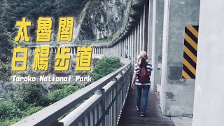 VLOG 花蓮｜太魯閣白楊步道一日遊