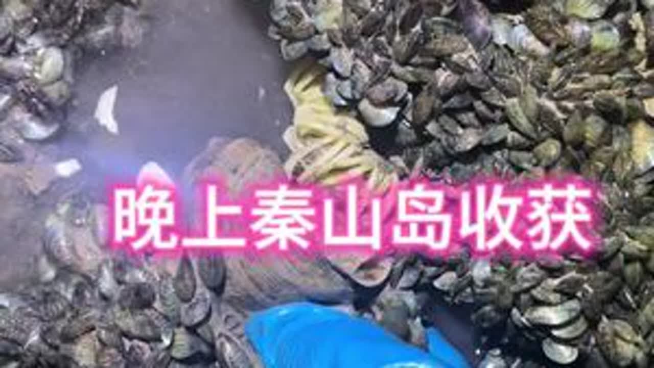 #大自然的搬运工