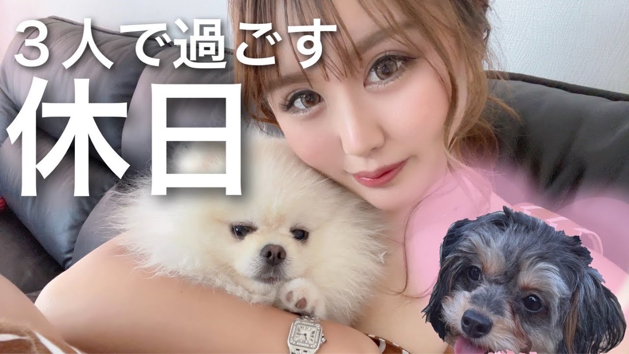 【ポメラニアン】友達のチワプーと一緒にお留守番。のどかな休日♪｜ポメラニアンの獅子丸