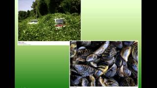 APES Chapter 18 - Conservation of Biodiversity