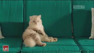 Iklan Hexos Kemasan 1991 - Ngomong Ala Dilan 1991 'Suara' 15s