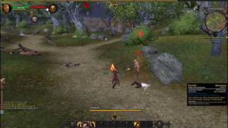 Bright Wizard Tier 1 Game Play Hd