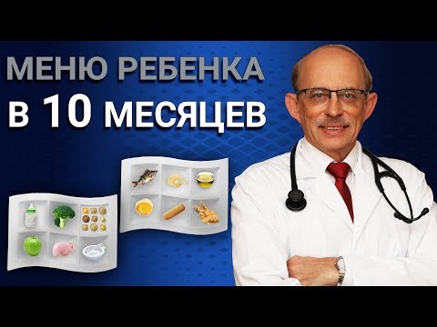 Как правильно составить меню ребенка в 10 месяцев - последние Европейские рекомендации ESPGHAN