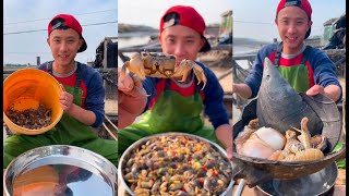 【大食い_FULL】海にはタコ、カニ、アサリなどの魚介類がたくさんあります。シーフードはおいしいです。一緒に食べましょう。8#4