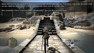 Dragon's Dogma - From Zero to Hero... or something - Full STR Build