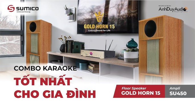 6. Những lưu ý khi sử dụng loa karaoke tại gia