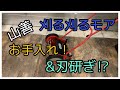 山善刈る刈るモアのお手入れ&刃研ぎ方法！？