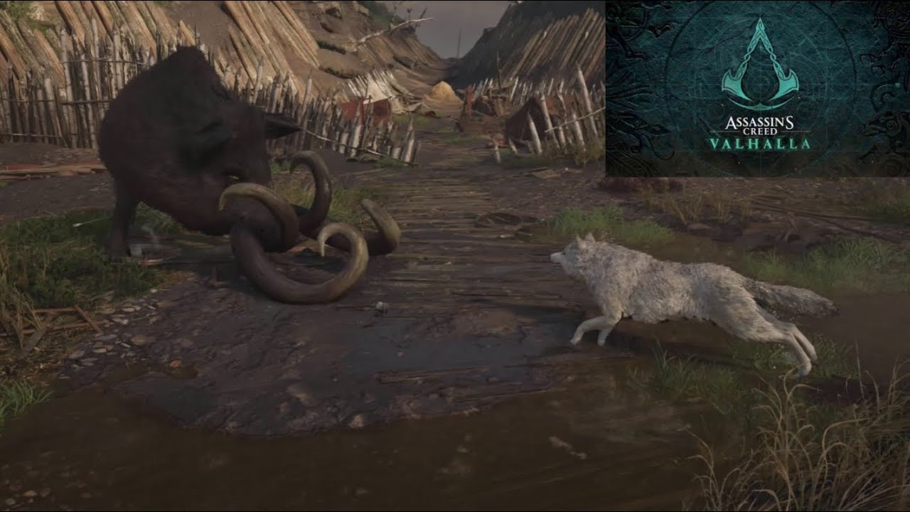 ASSASSINS CREED VALHALLA - WRATH OF THE DRUIDS - KILLING ALL LEGENDARY ANIMALS /ALL ANIMAL FIGHTS!!!