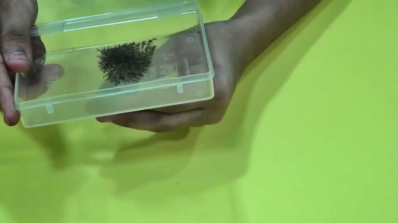 Curion - Magnetism (Magnetic Field Viewer)