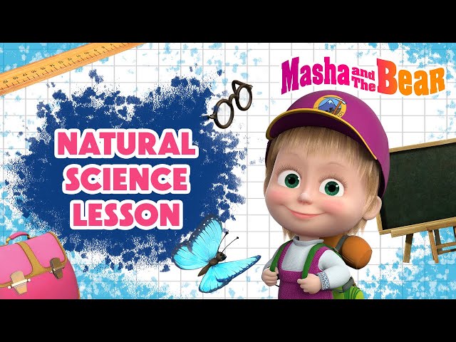 Orqa tomondan semiz mushuk surati